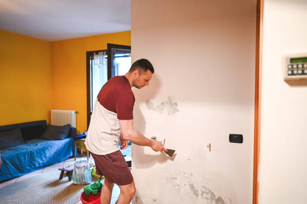 Best Mold Removal Near Me  in Spring Valley, AZ